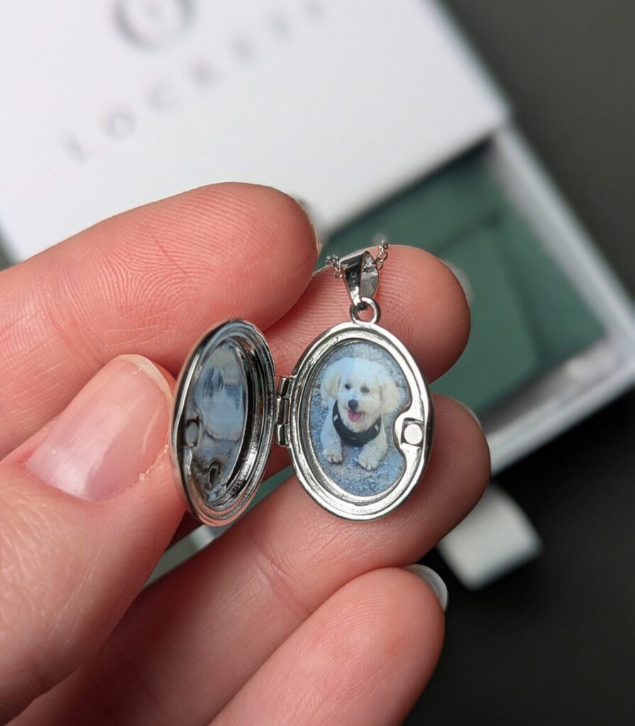 Image #1 from Claire T